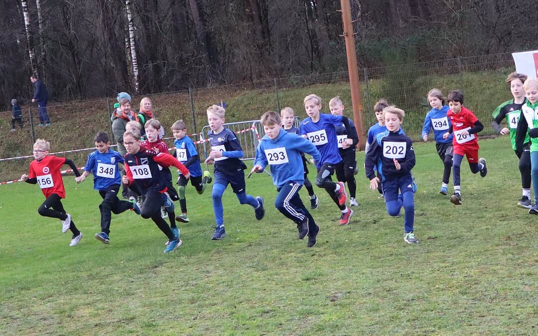 Crosslauf Meppen