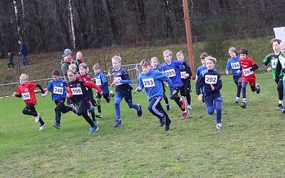 Crosslauf Meppen